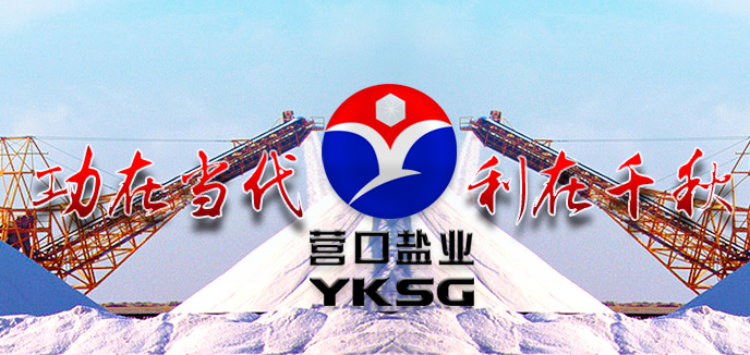 营口盐业集团